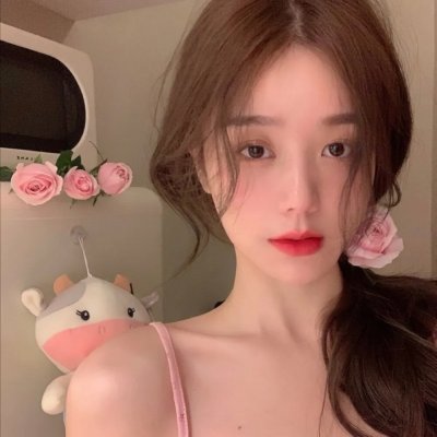 阿黛拉的非凡冒险