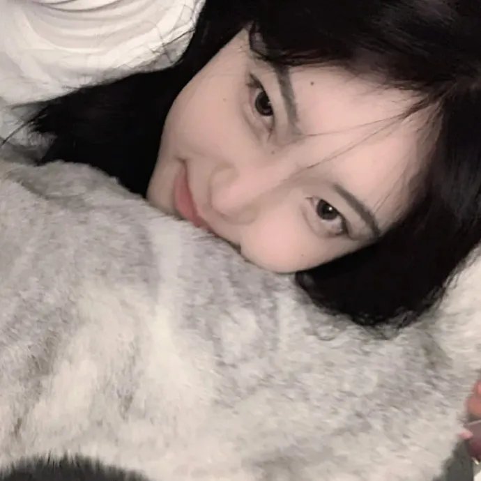 失踪的地图国语