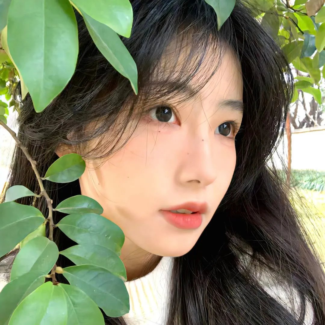 麻雀岂能栖梧桐